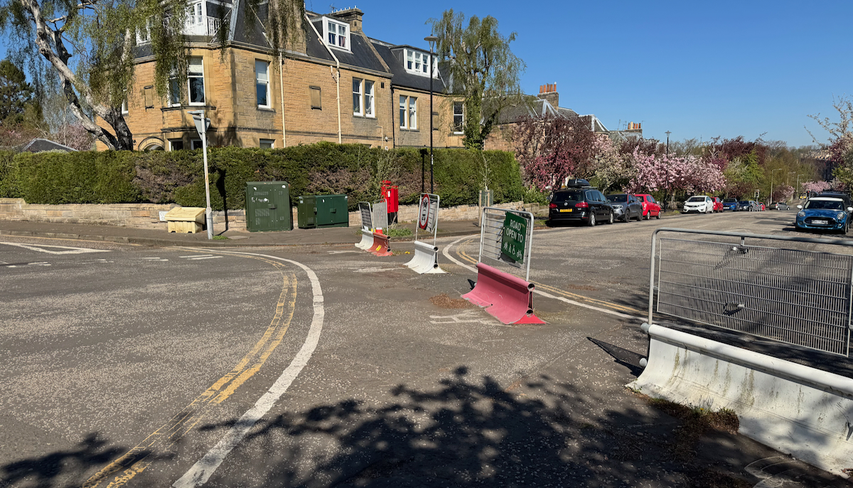 A modal filter on a sunny street lined with blossoming cherry trees